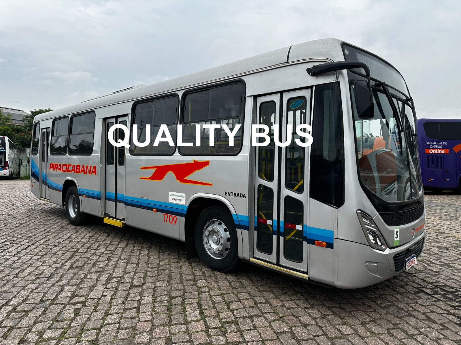 WhatsApp Image 2026-01-13 at 07.55.33