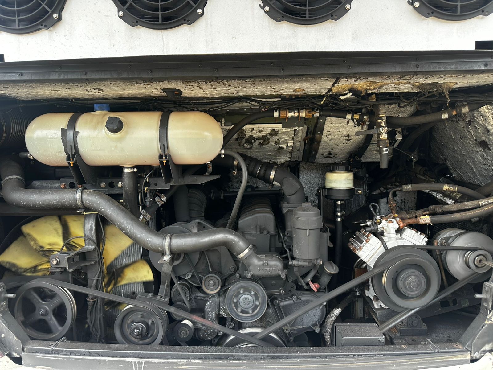 WhatsApp Image 2026-02-05 at 15.17.04 (2)